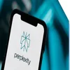 phone screen showing perplexity logo