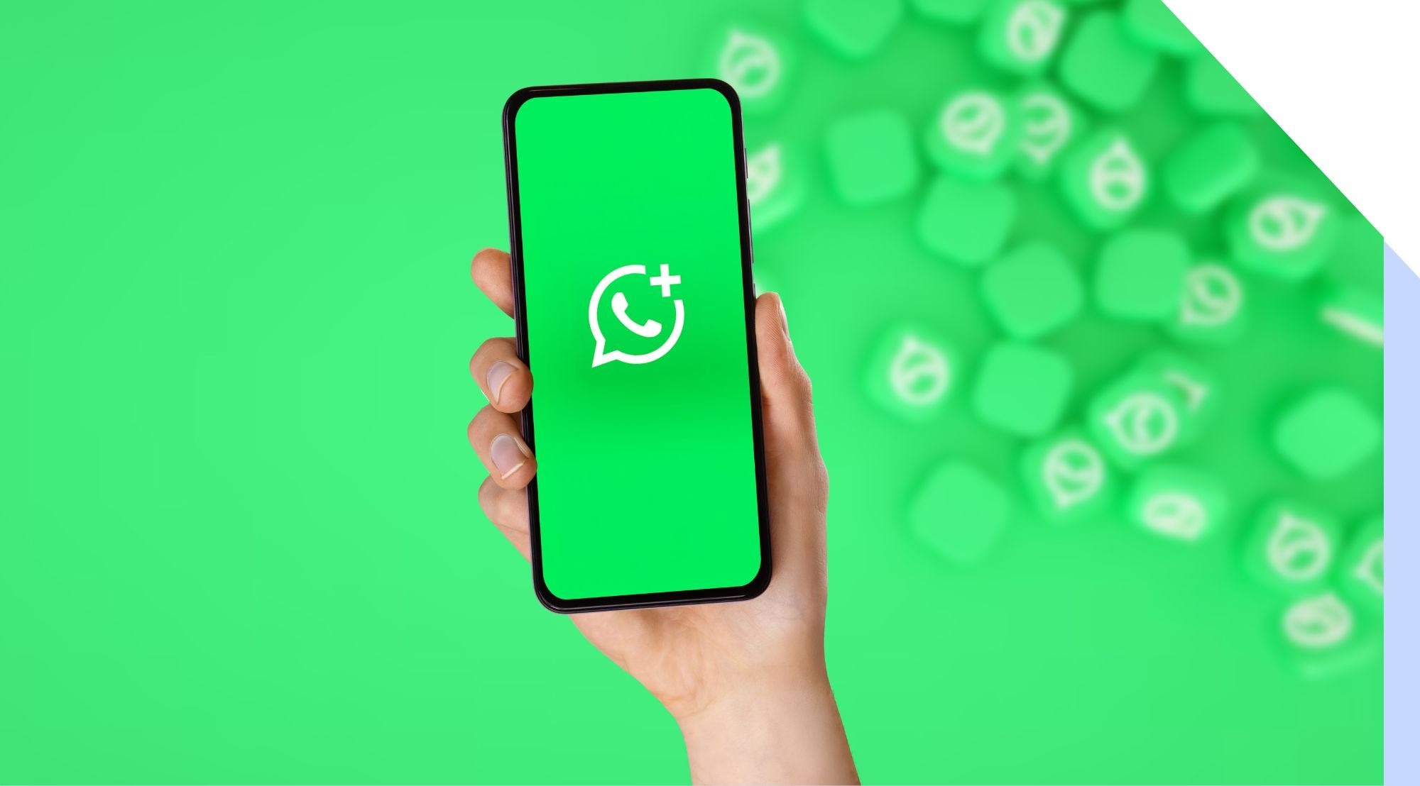What Is WhatsApp Business and Do You Need It?