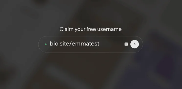 Box to add username when setting up Squarespace Bio Site