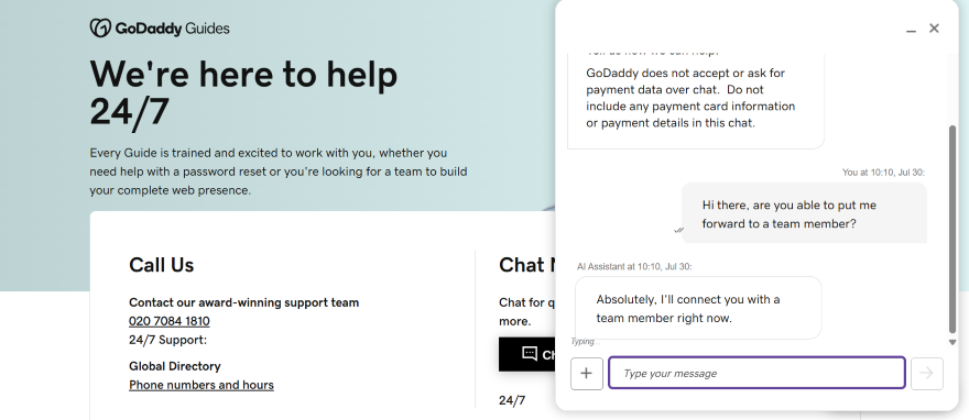 GoDaddy Live Chat Team Member GoDaddy support chat interface, offering 24/7 help with a focus on web presence and security during customer interactions.