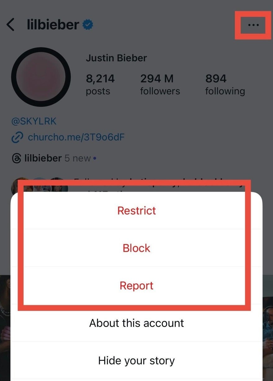 Red square highlighting the restrict, block, and report tools on Instagram profiles