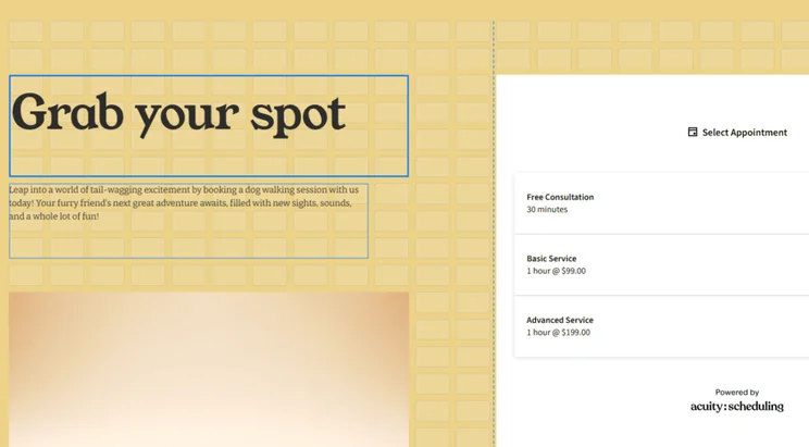 Squarespace's grid overlay in the website editor appearing when moving a text box