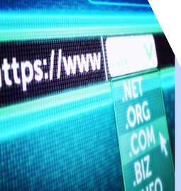 Drop down of TLD options in a URL address bar