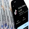 A smartphone displaying the TikTok app interface lies on a stack of hundred-dollar bills, highlighting digital media's connection to money.