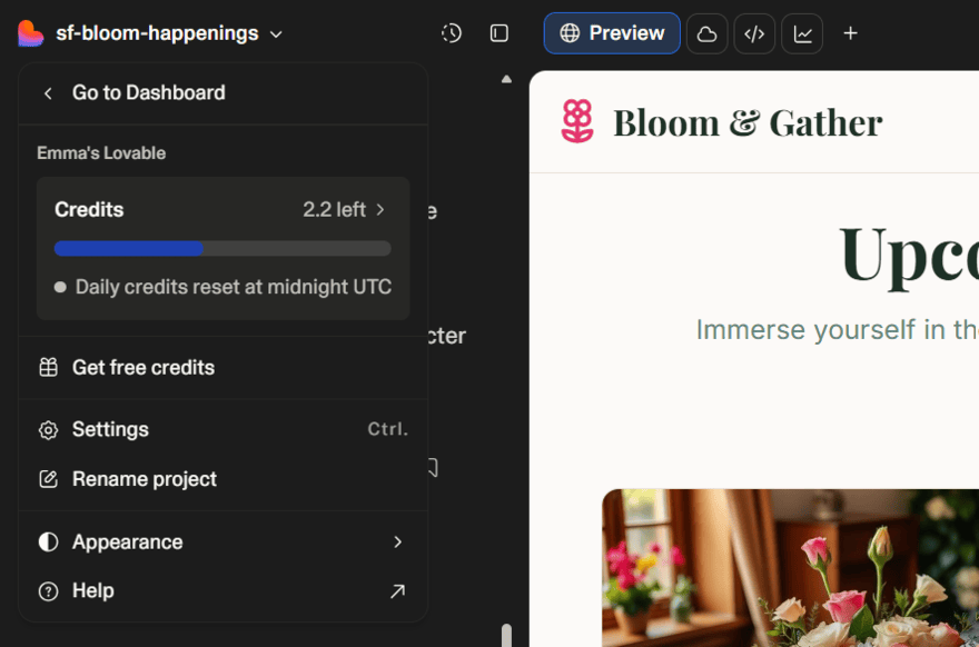 Lovable daily credit tracker